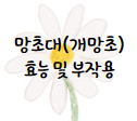 이 이미지를 클릭 하시면 망초대(개망초)에 관한 포스팅으로 이동 됩니다.