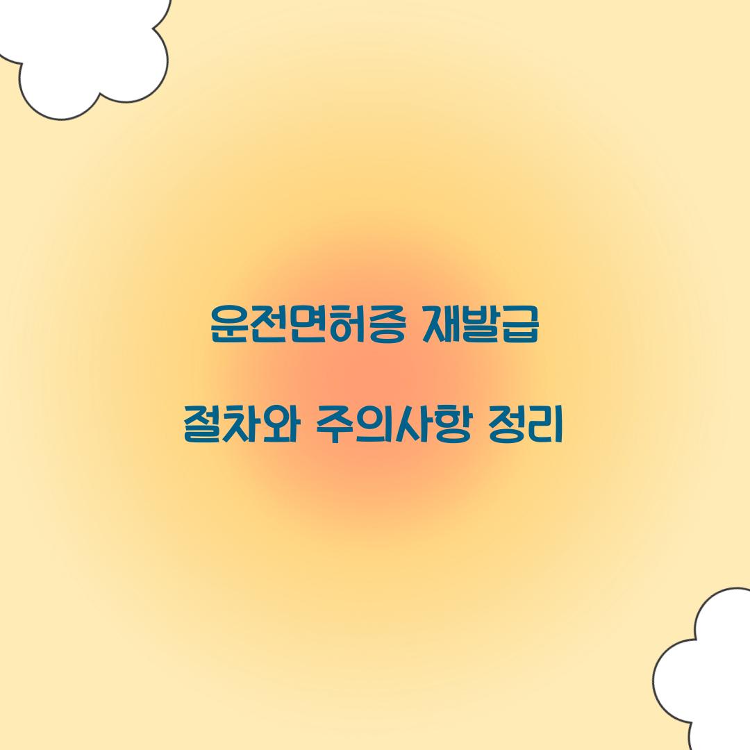 운전면허증 재발급