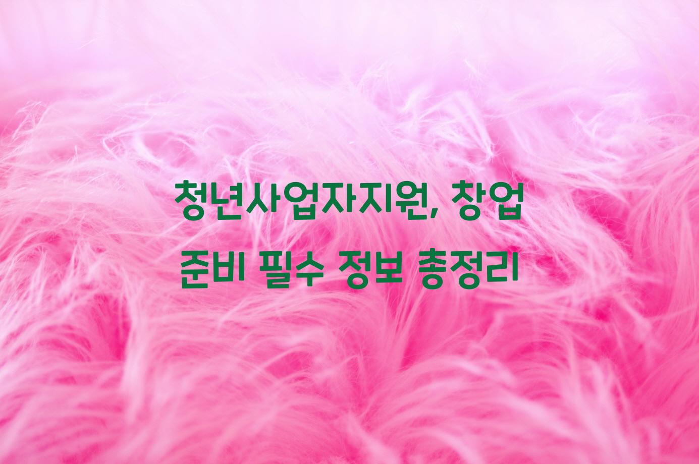 청년사업자지원