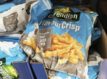 코스트코 추천 베스트 상품