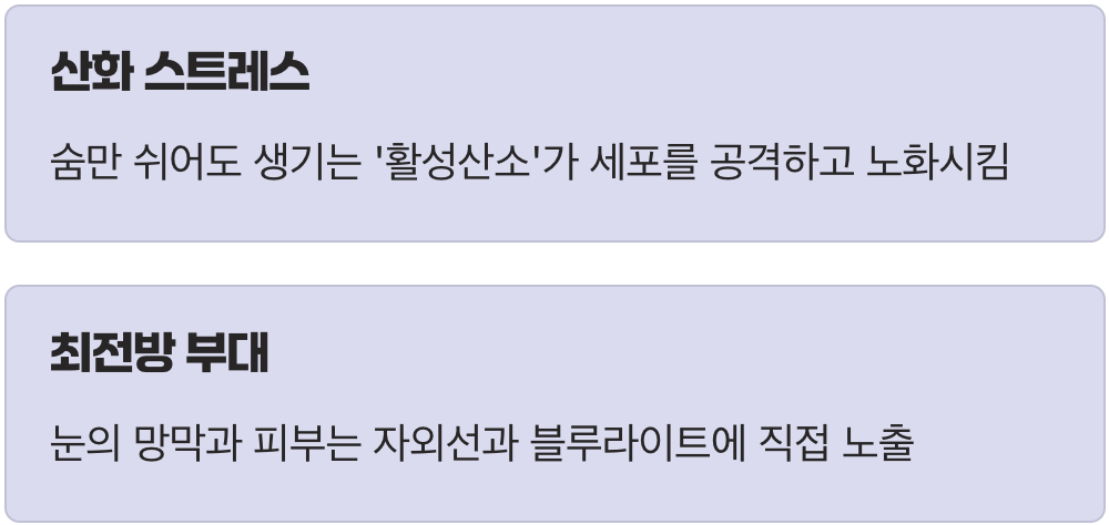우리 몸을 녹슬게 하는 '활성산소'의 습격