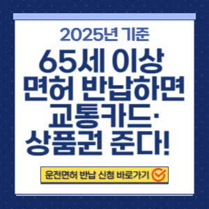 2025년 노인 운전면허 반납 혜택 교통카드 상품권 받는 법