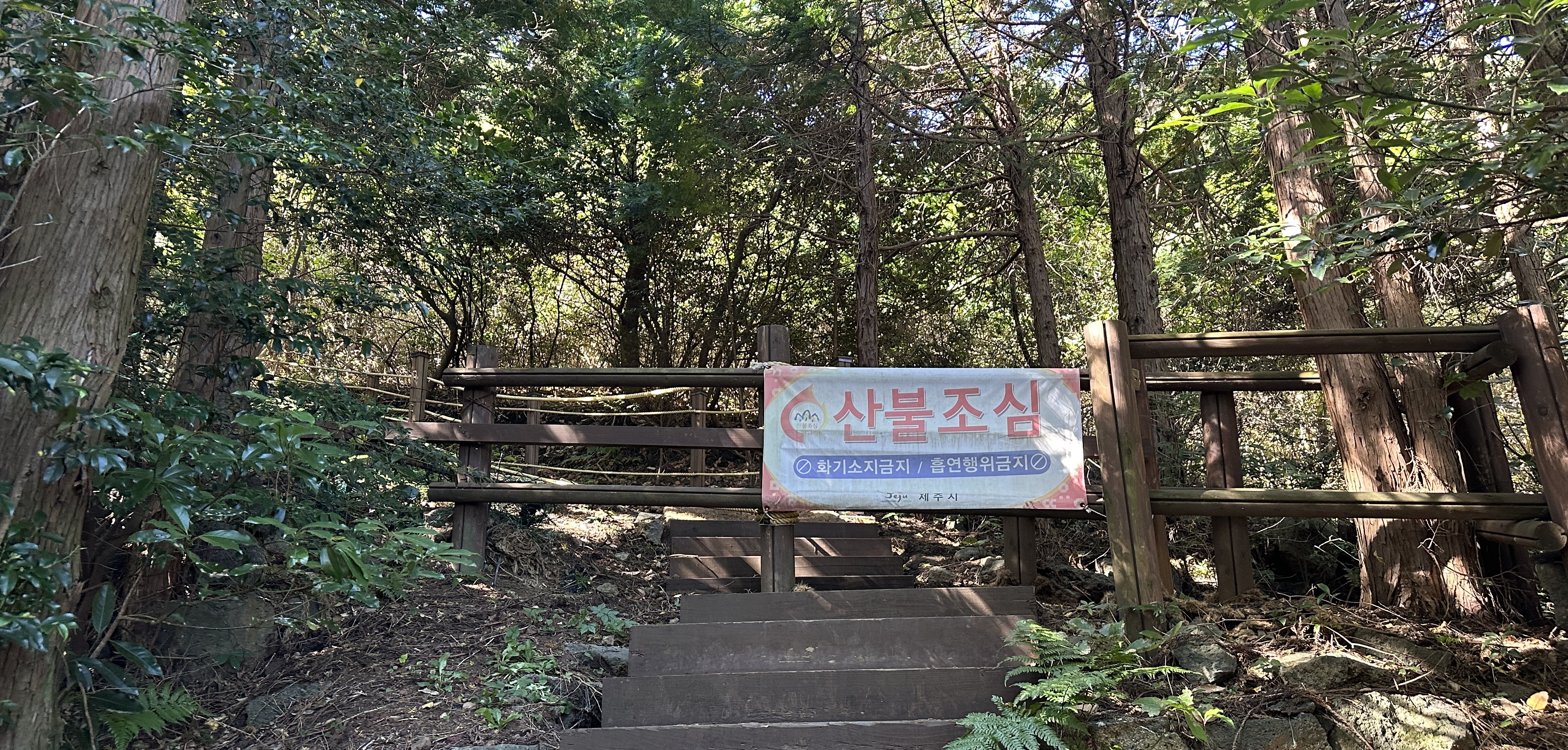 높은오름 탐방로