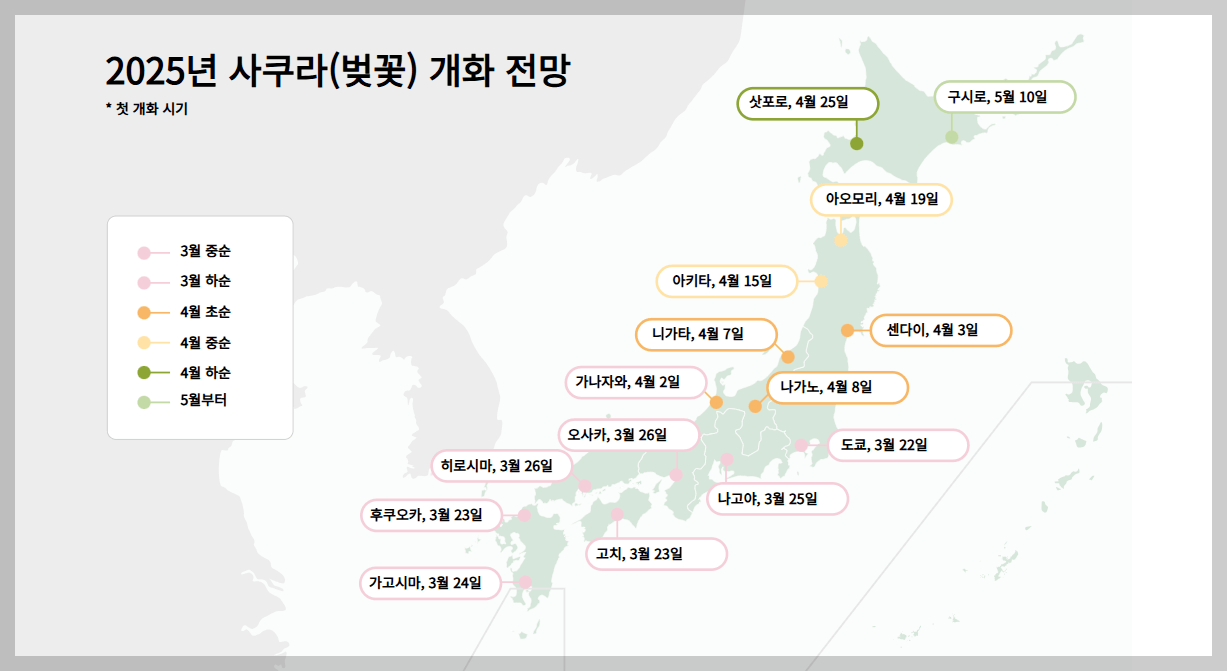일본 벚꽃 개화 시기 전망