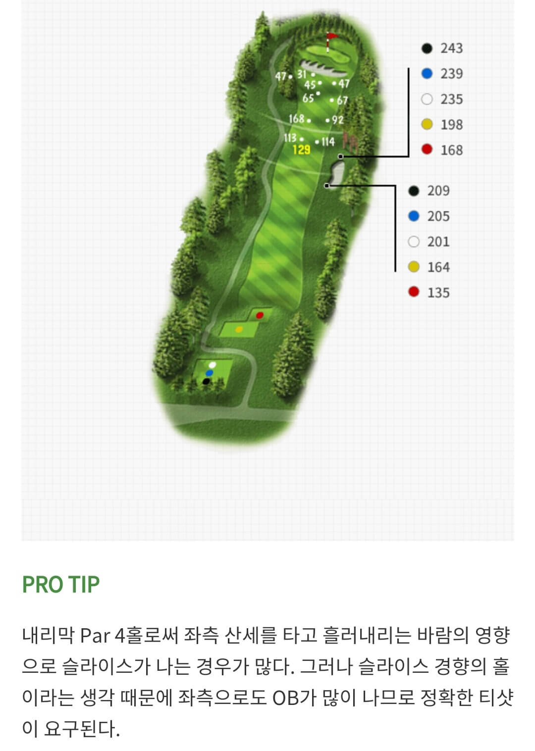 솔모로 컨트리클럽 퍼시몬코스 03