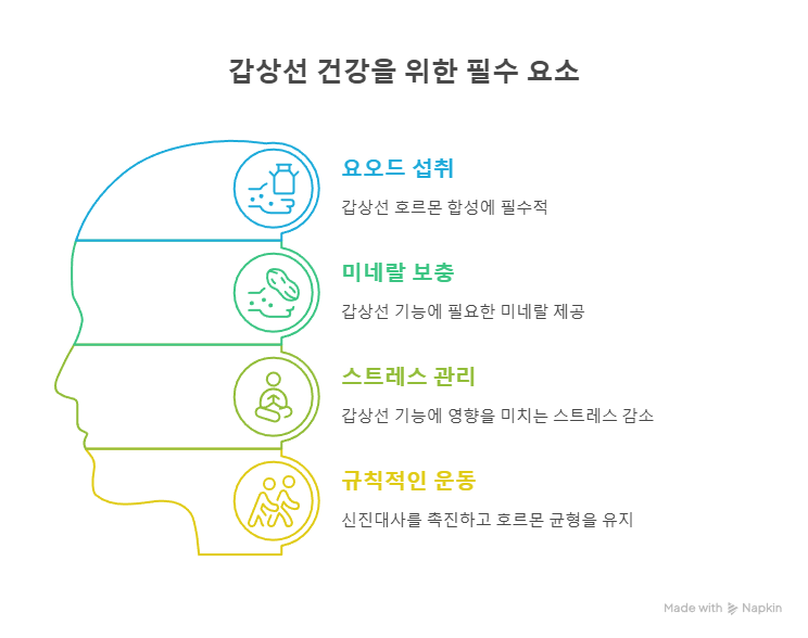 갑상선 건강을 위한 요소