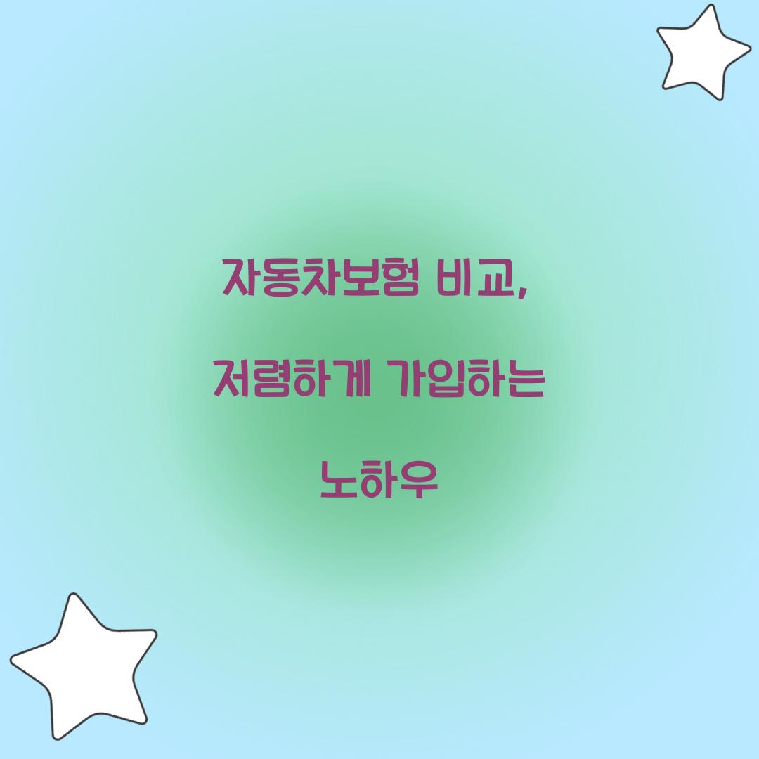 자동차보험 비교