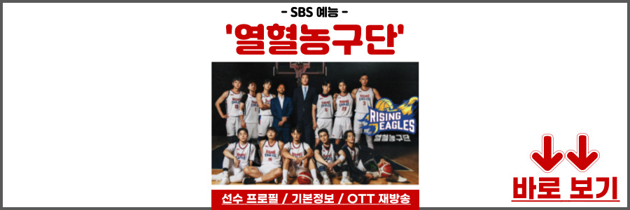 열혈농구단