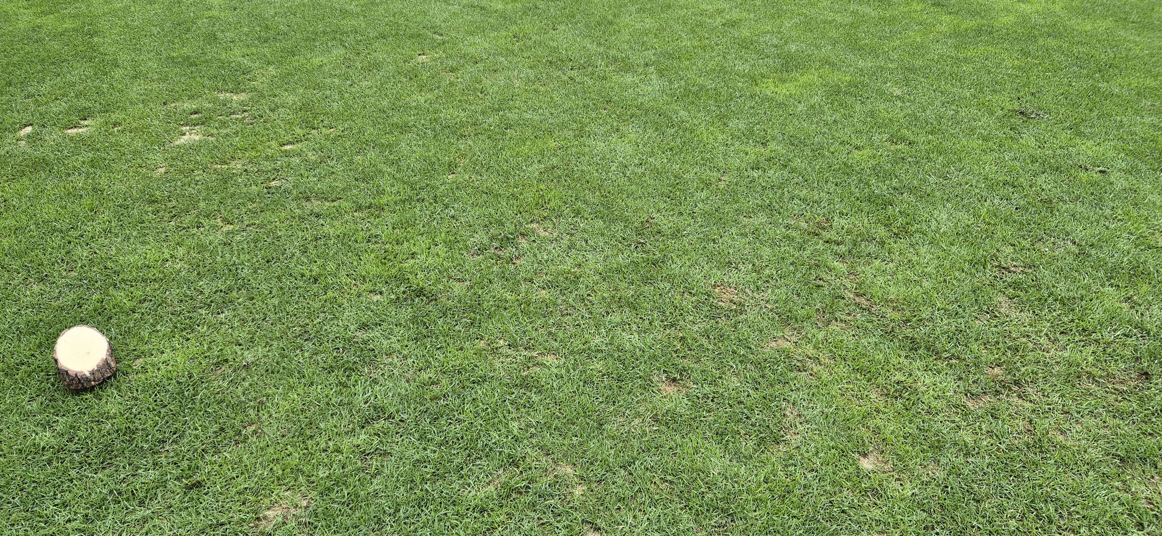 더플레이어스cc