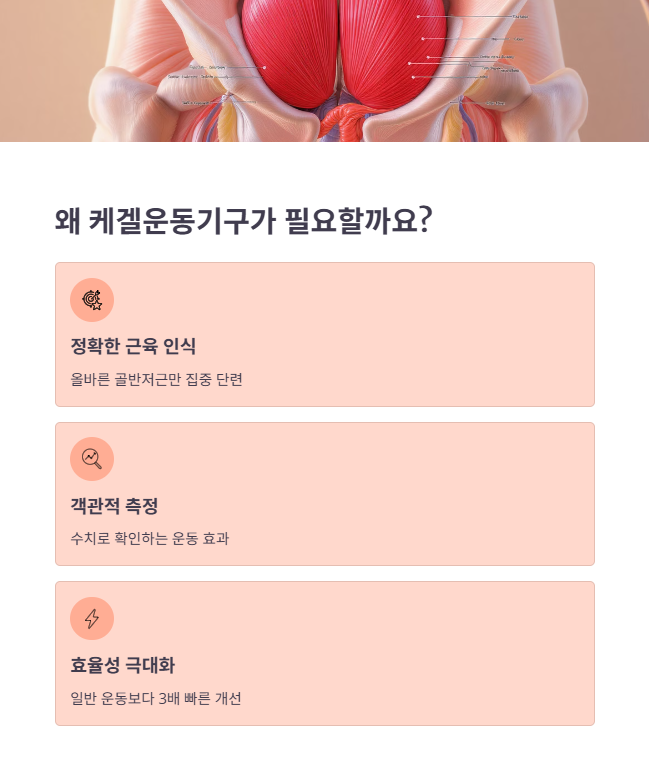 남성 케겔운동기구 원리와 필요성