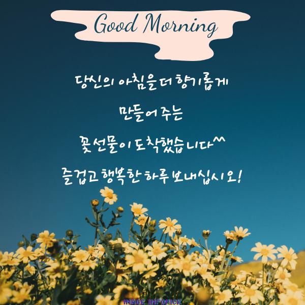 아침 인사로 좋은 글 이미지 아침 인사말 문구 모음