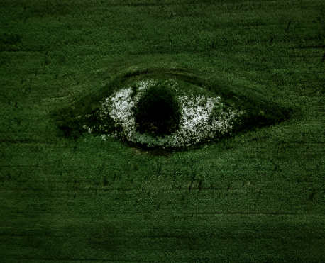 미스테리의 정체