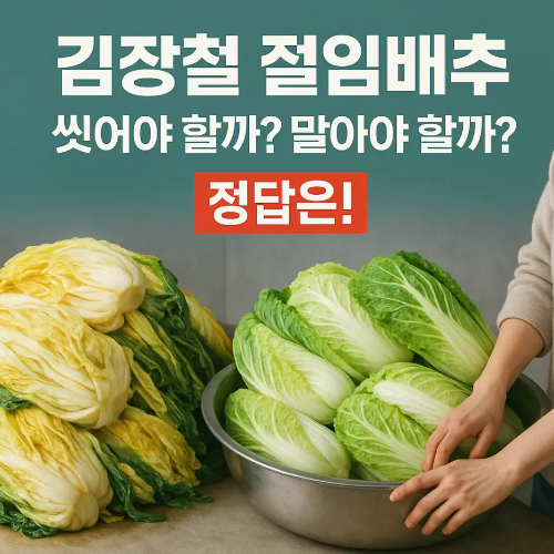 썸네일-김장철 절임배추