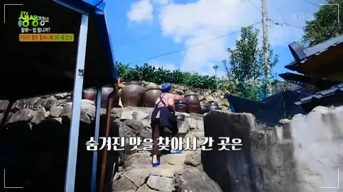 생생정보 남원 지리산 산나물 밥상 이층집 민박 철임 할머니 예약하기8