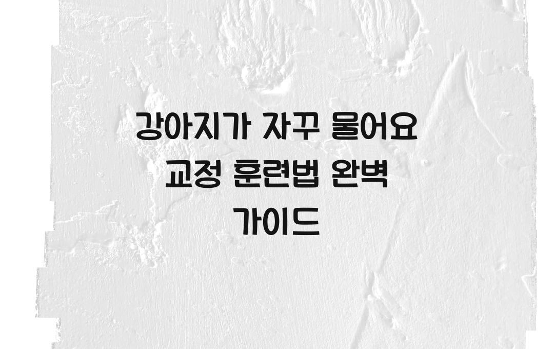 강아지가 자꾸 물어요! 올바른 교정 훈련법 공개