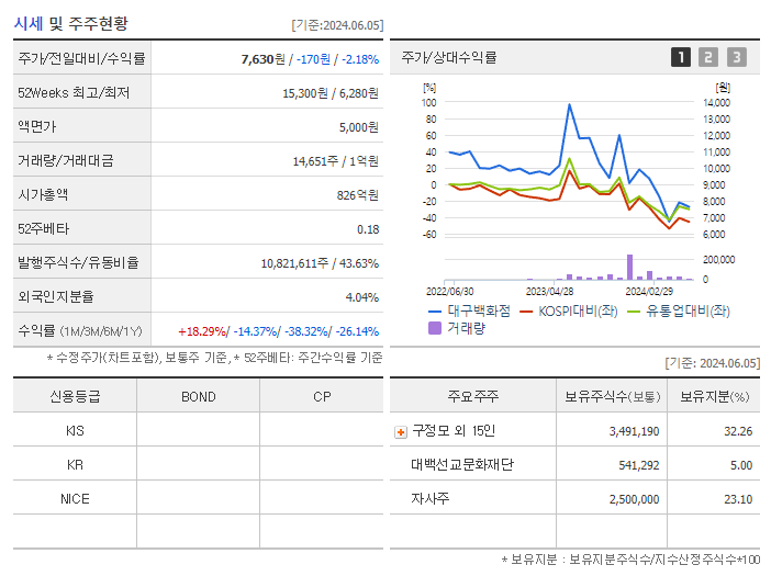 대구백화점_기업개요