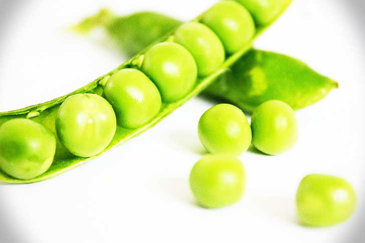 검정콩(서리태)