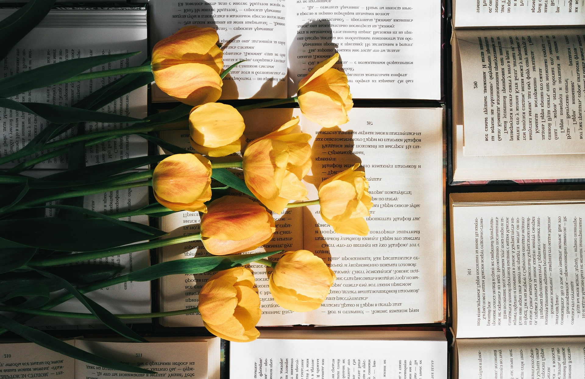 경제책 관련 사진