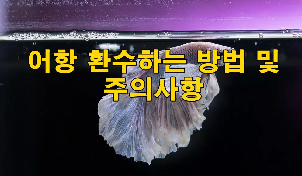 어항 환수하는 방법 및 주의사항