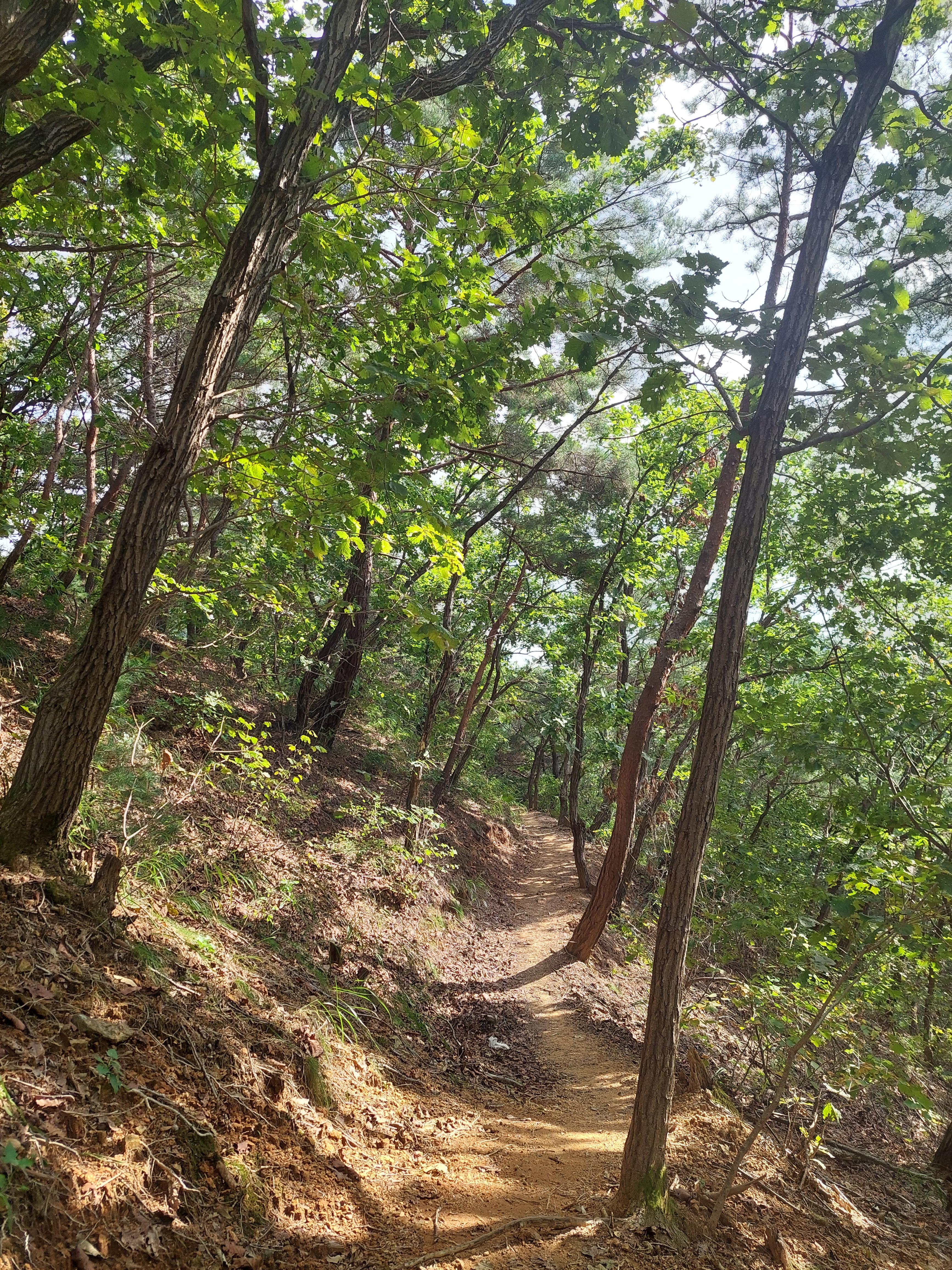 감악산