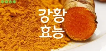 강황가루 효능 건강효과 및 활용방법 정리_5