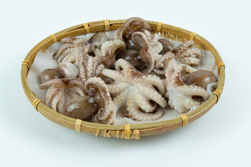 봄제철음식