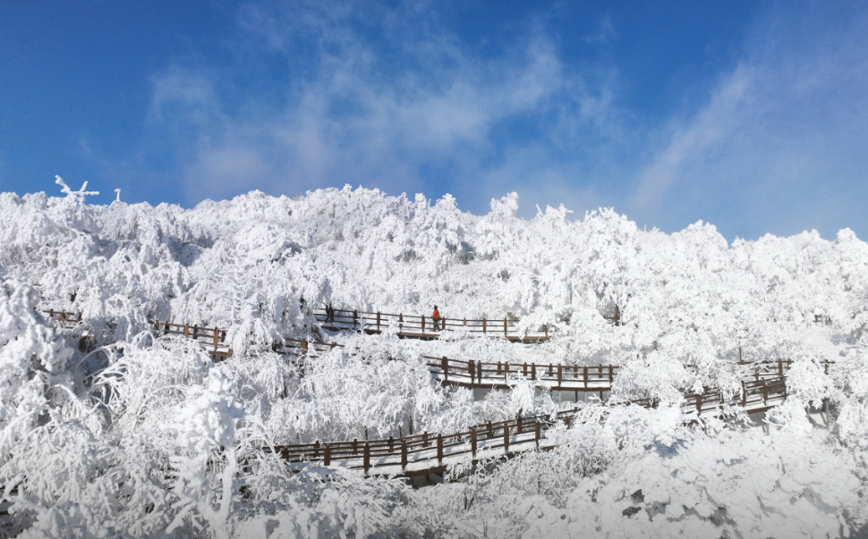 발왕산케이블카1