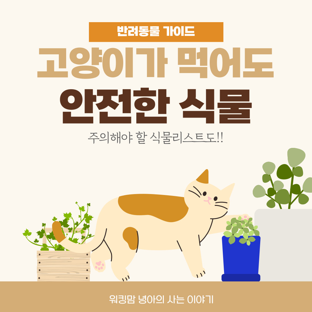 고양이-안전한-식물-포스팅-대문-이미지