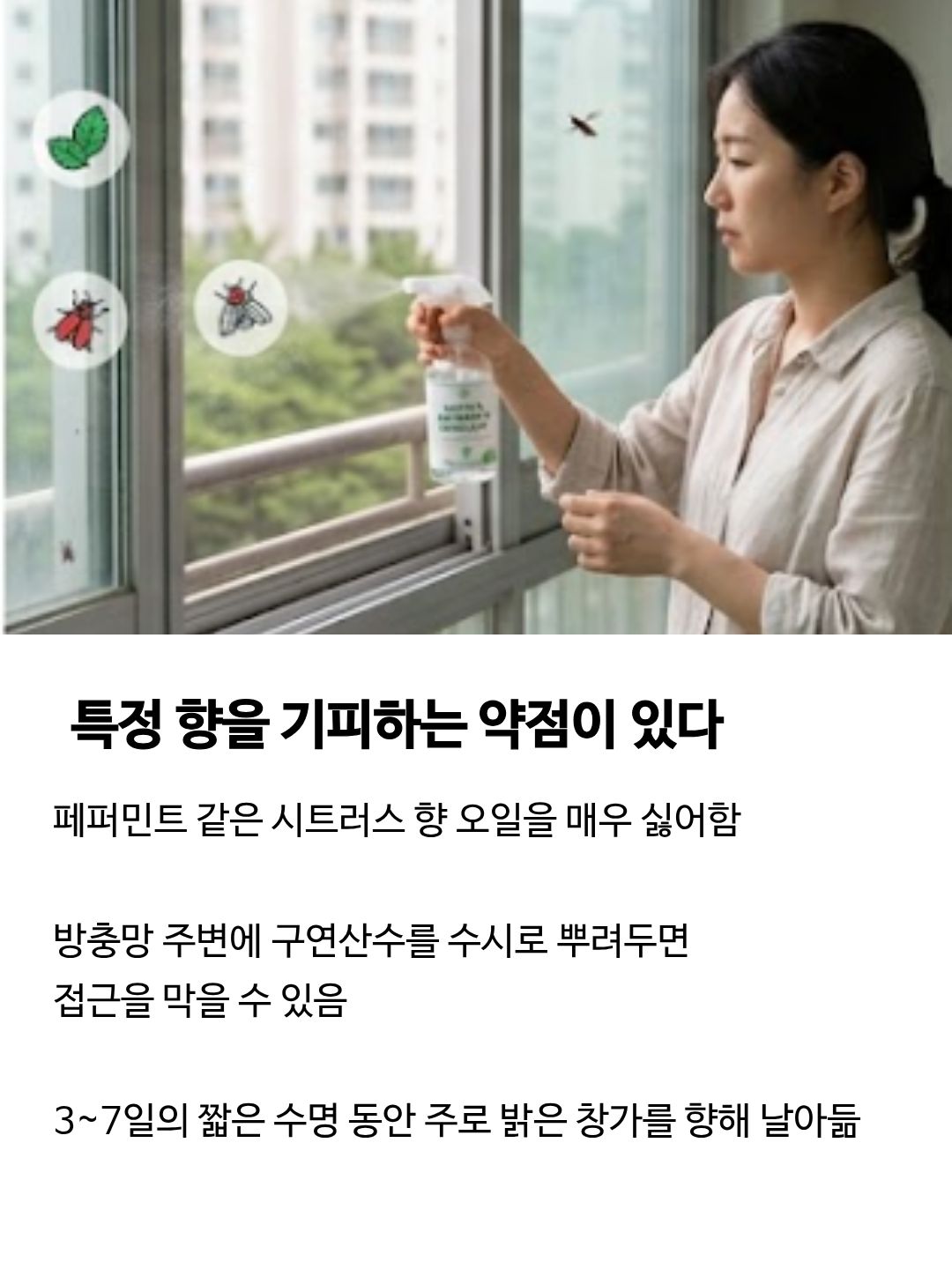 러브 버그 출몰시기
