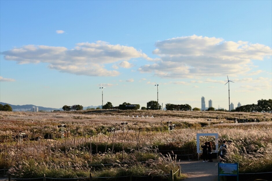 10월 축제 가볼만한 곳