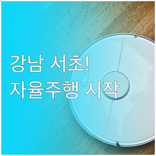 서울 강남구 서초구 자율주행 택시 운..