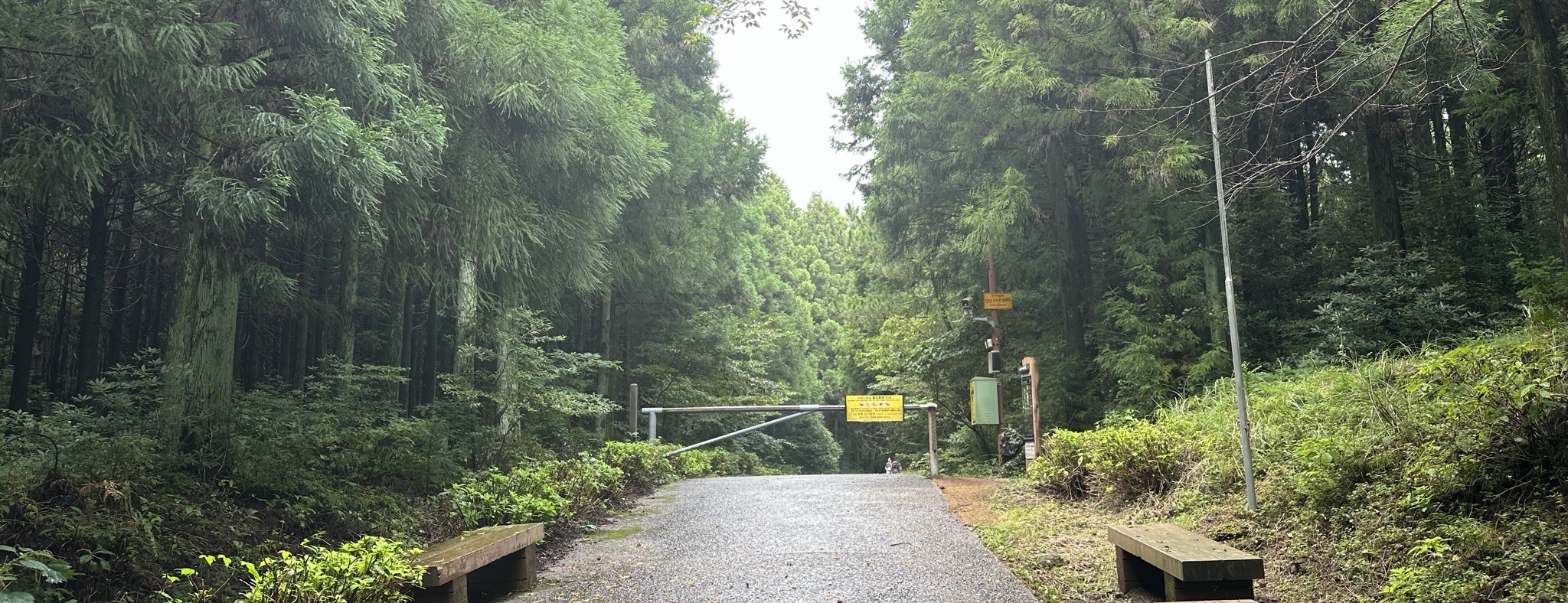 산책로