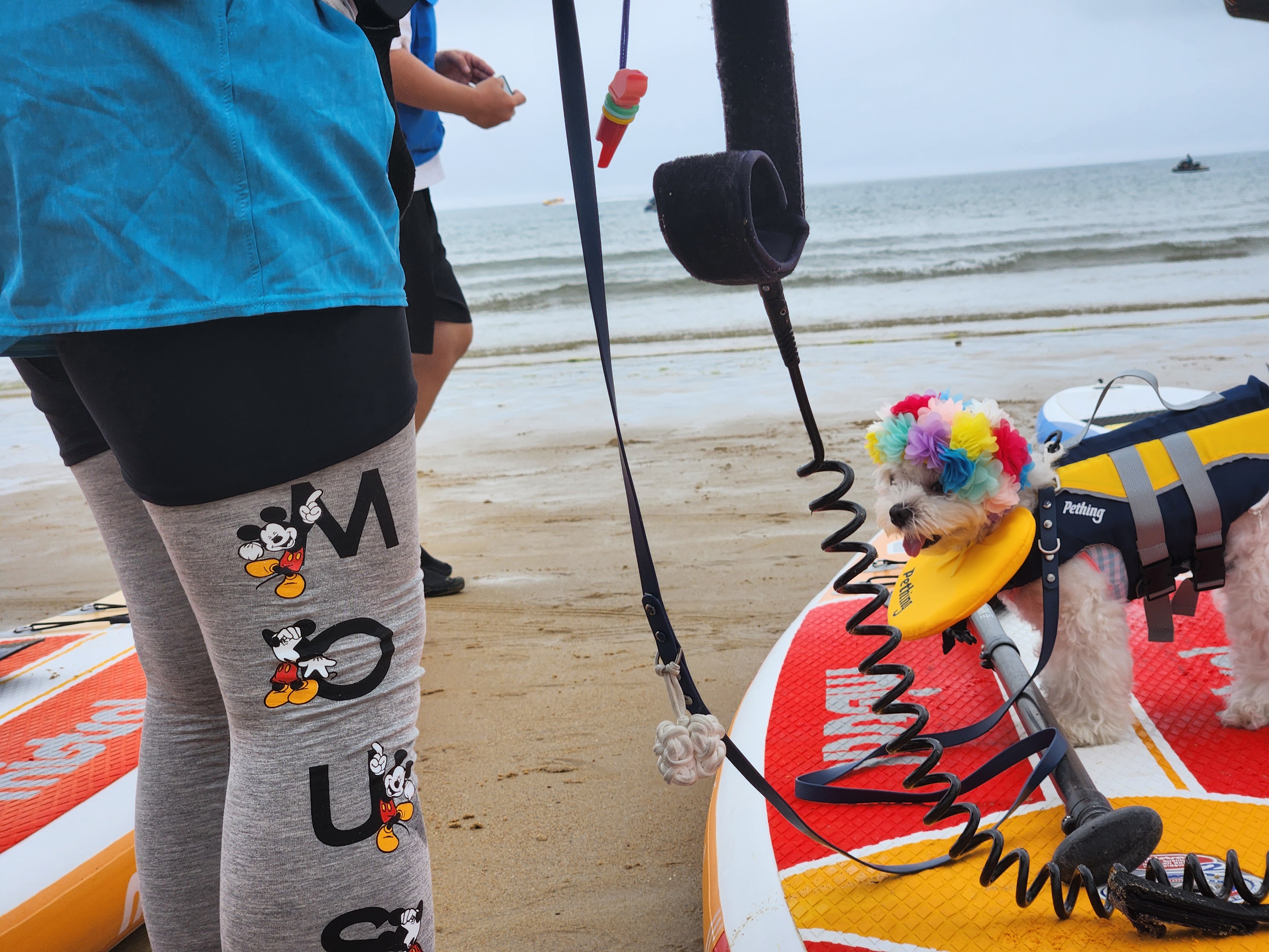 태안 패들보드 체험중