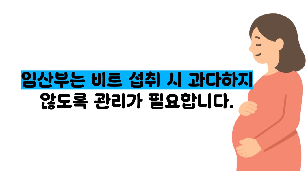 비트 효능 및부작용