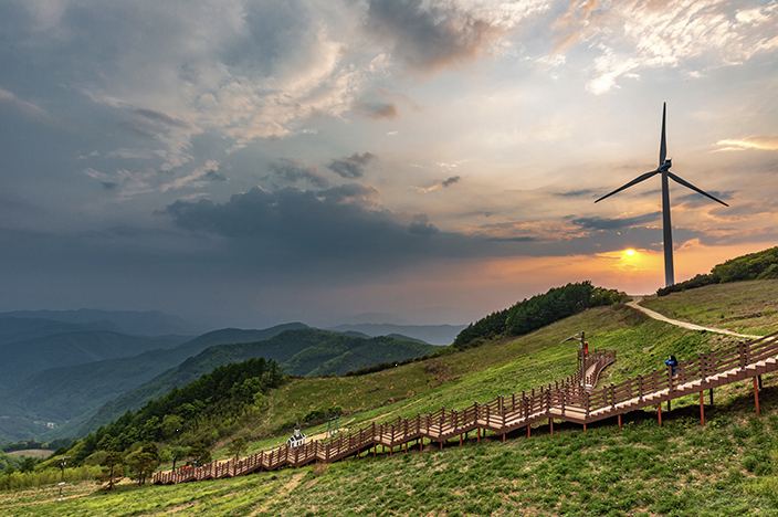 육백마지기 이미지