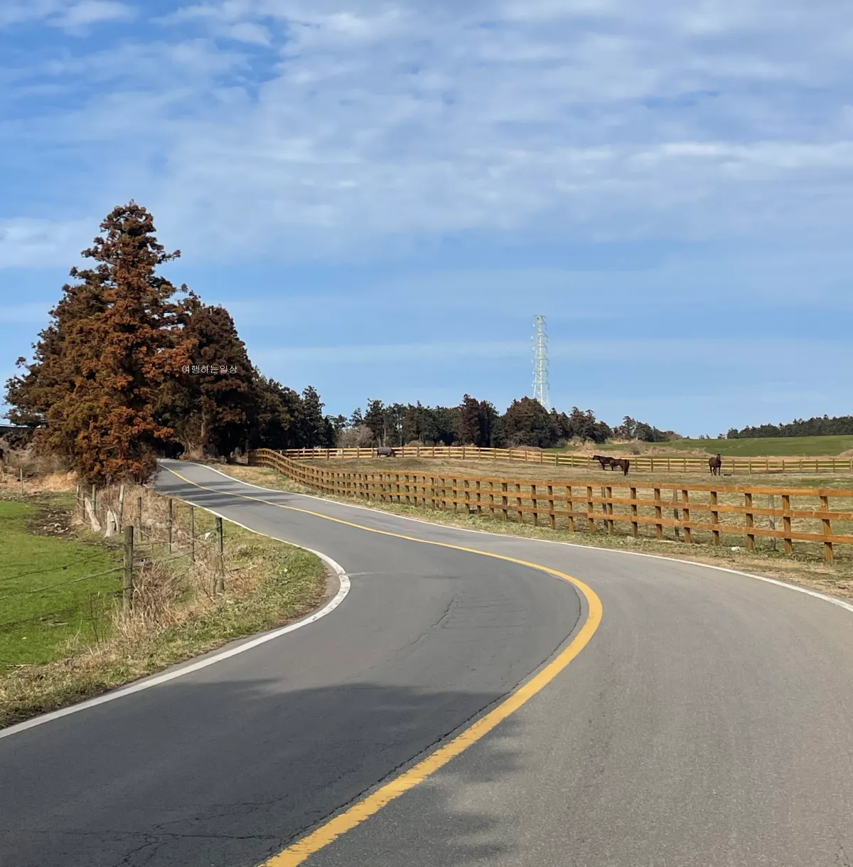 겨울-제주여행-무료로-말-구경할-수-있는-성이시돌목장-소요시간-아이스크림-후기