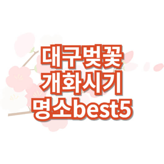 대구-벚꽃-개화시기