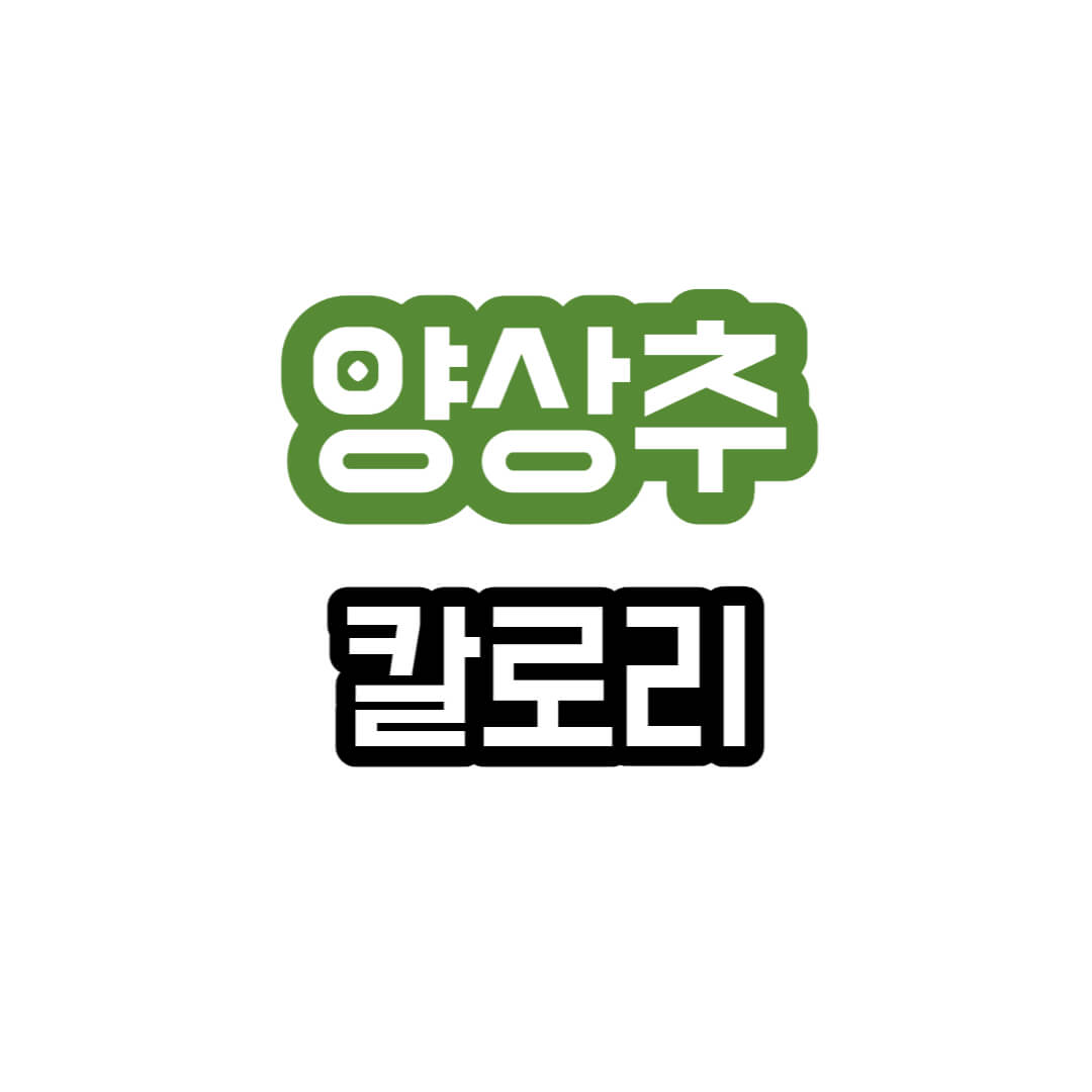 양상추-칼로리설명