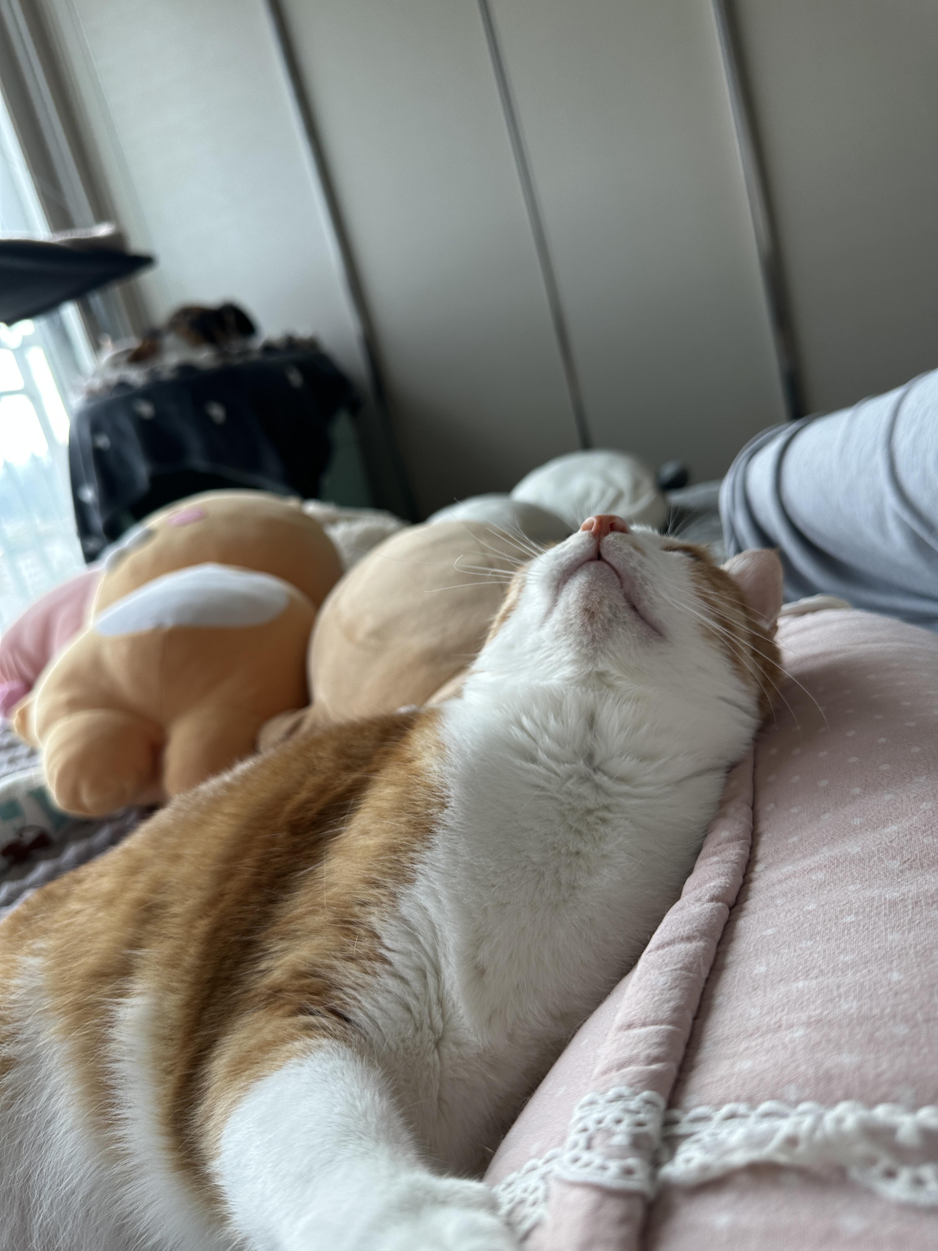 다시_엄마_손에_집중