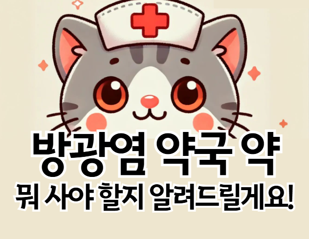 방광염 약국 약 완전 분석! 종류, 효능, 복용법까지