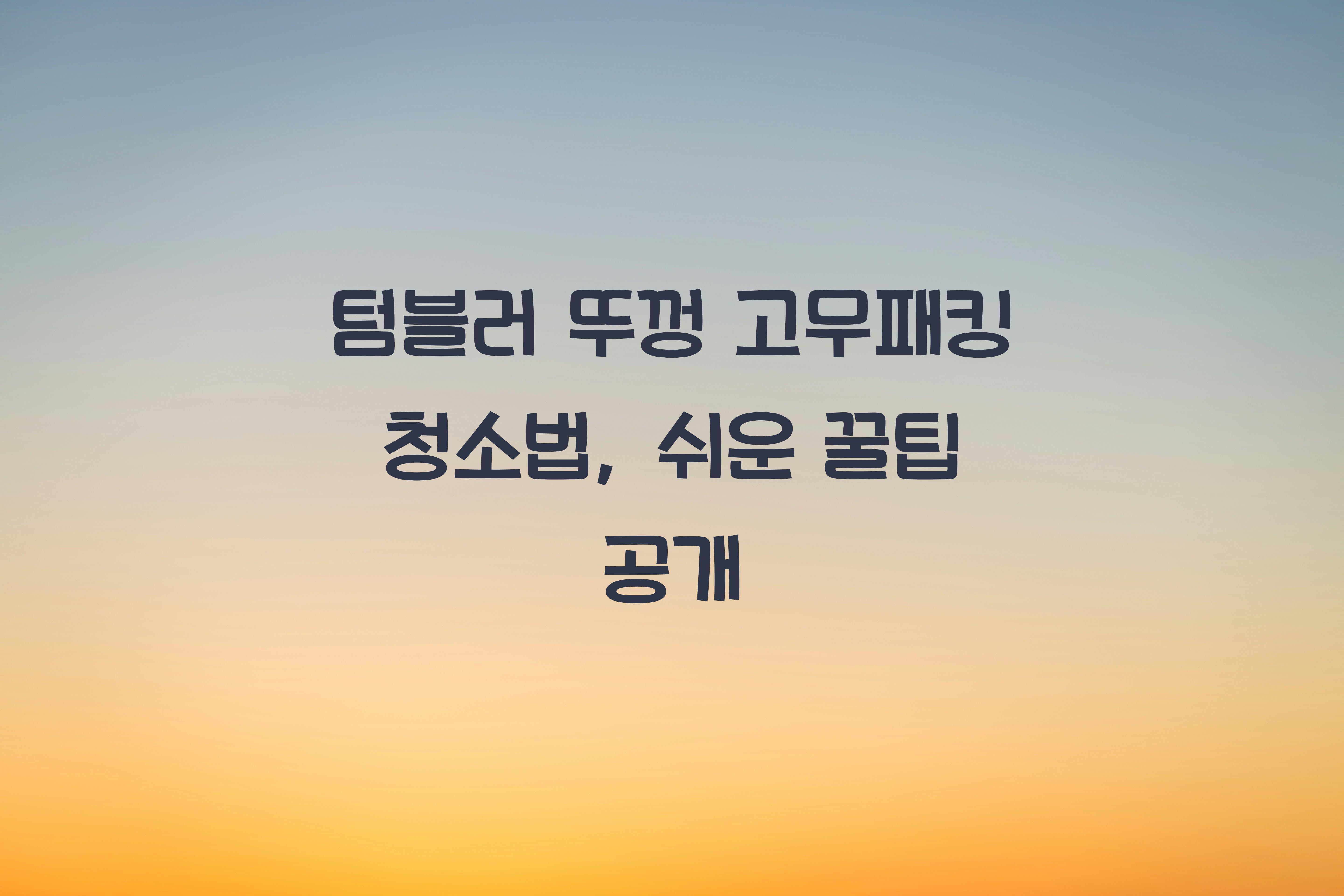 텀블러 뚜껑 고무패킹 청소법