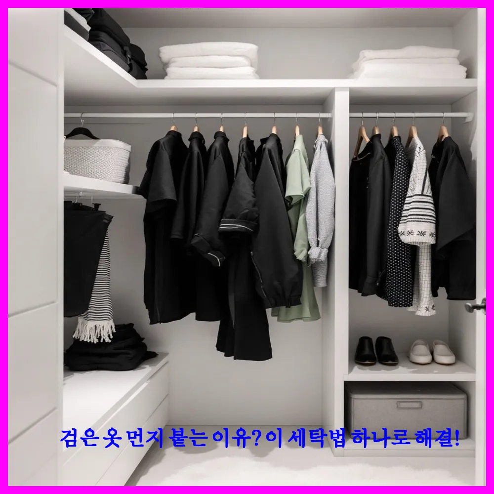 검은 옷 먼지 붙는 이유? 이 세탁법 하나로 해결!