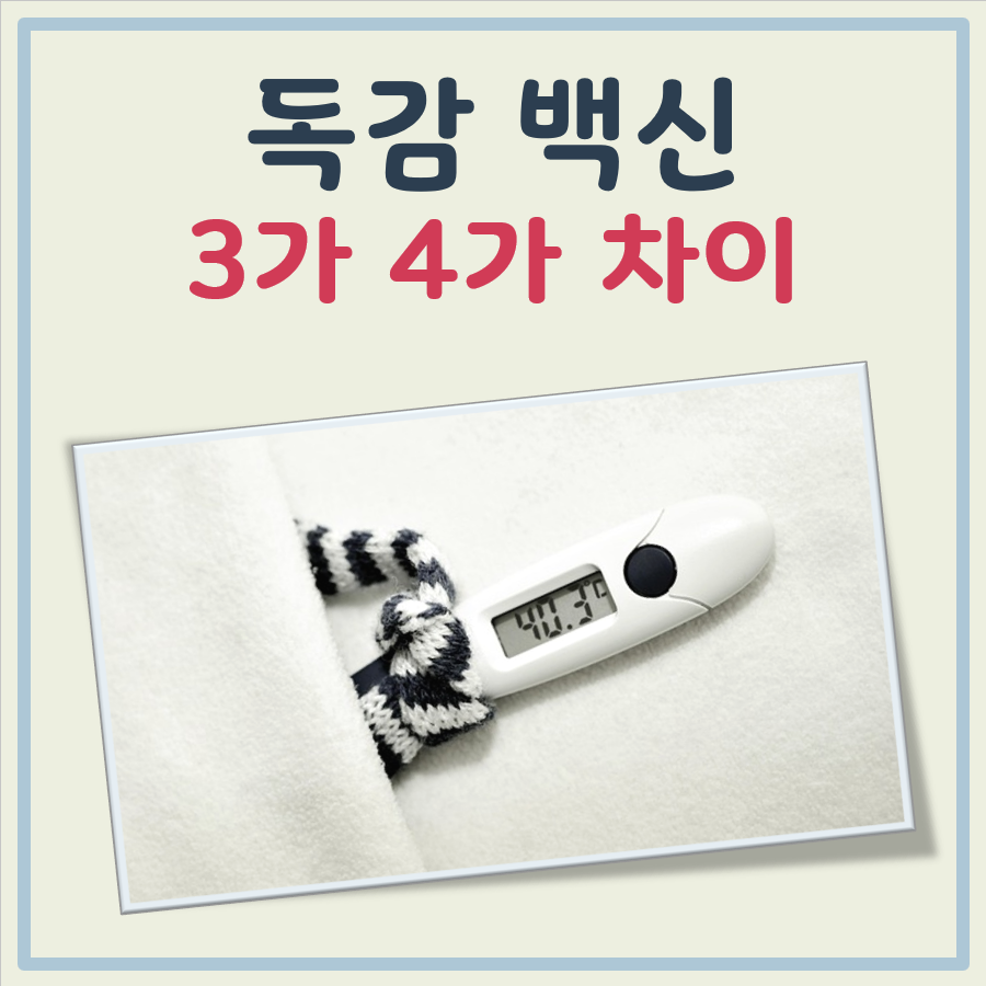 독감 백신 3가 4가 차이