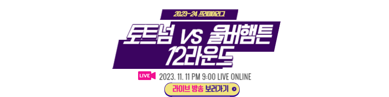 토트넘울버햄튼