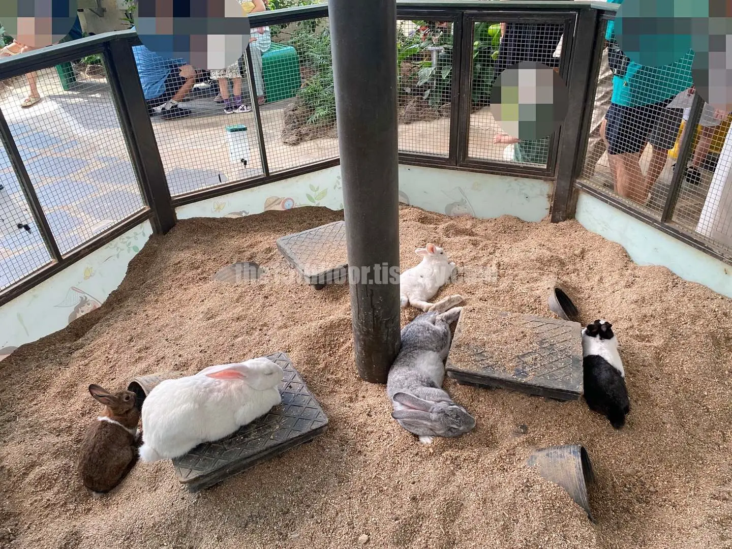 경남 의령 &amp;#39;의령 곤충생태학습관&amp;#39; (1층&amp;#44; &amp;#39;생태 유리온실&amp;#39;)