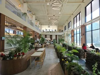 경기 광주 초대형 카페 그랜마스 애견동반_3