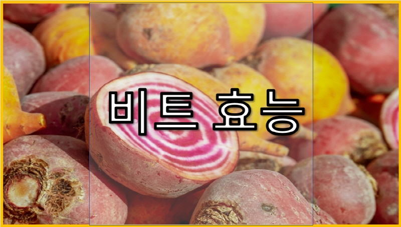 비트효능0011