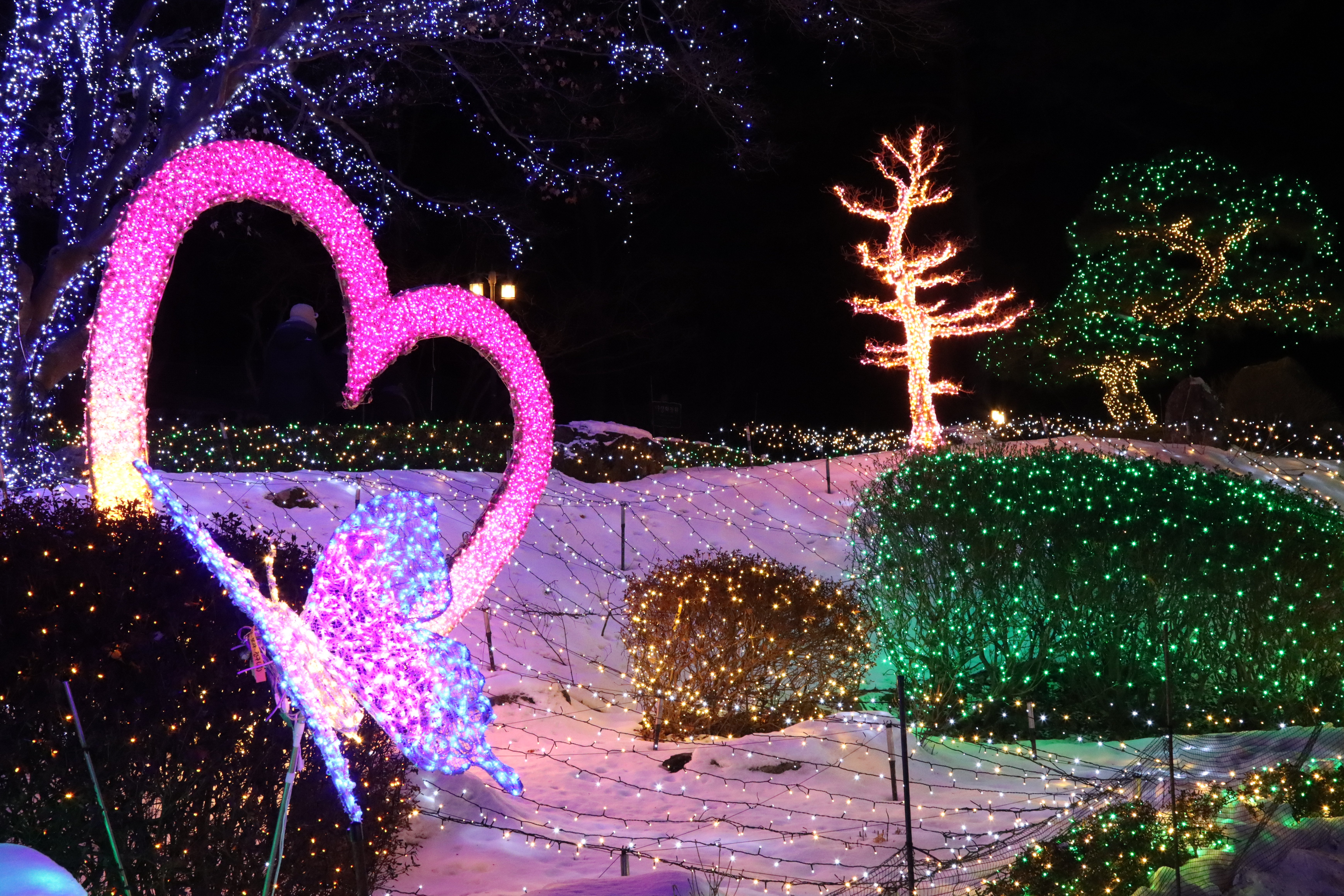 아침고요수목원