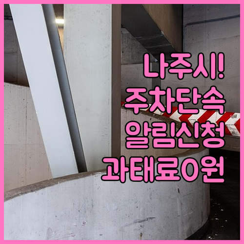 나주시 주정차 단속 알림 서비스 신청..