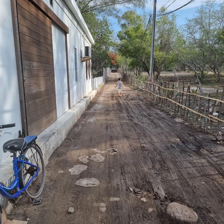 숙소 앞 산책 중인 모습